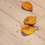 Δάπεδο Laminate KAINDL К4425, 1383 x 193 x 12mm 33/AC5 - Image 2